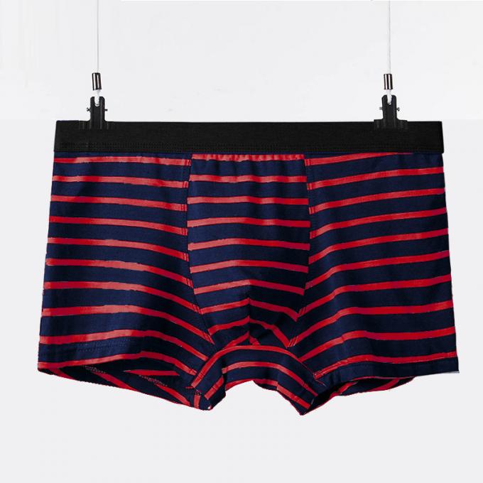 XXXL 165kg 95kg Cotton Men Underwear Sexy Pure Cotton Briefs Adults Stripe Sports 0