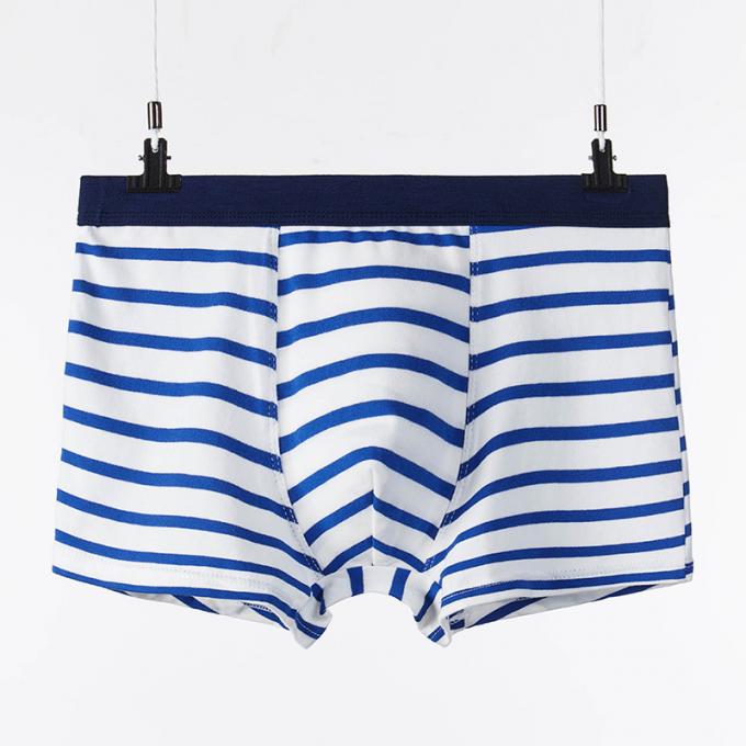 XXXL 165kg 95kg Cotton Men Underwear Sexy Pure Cotton Briefs Adults Stripe Sports 7
