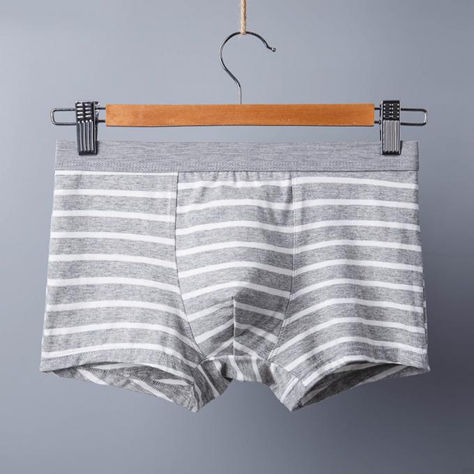XXXL 165kg 95kg Cotton Men Underwear Sexy Pure Cotton Briefs Adults Stripe Sports 5