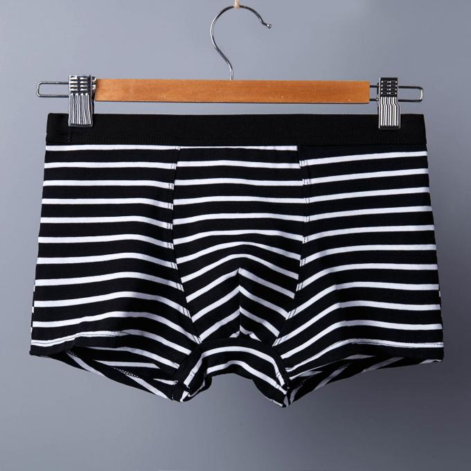 XXXL 165kg 95kg Cotton Men Underwear Sexy Pure Cotton Briefs Adults Stripe Sports 6