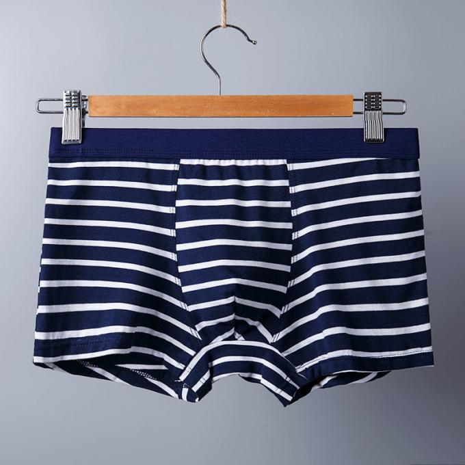 XXXL 165kg 95kg Cotton Men Underwear Sexy Pure Cotton Briefs Adults Stripe Sports 4