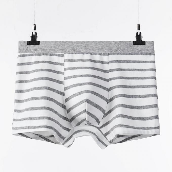 XXXL 165kg 95kg Cotton Men Underwear Sexy Pure Cotton Briefs Adults Stripe Sports 8