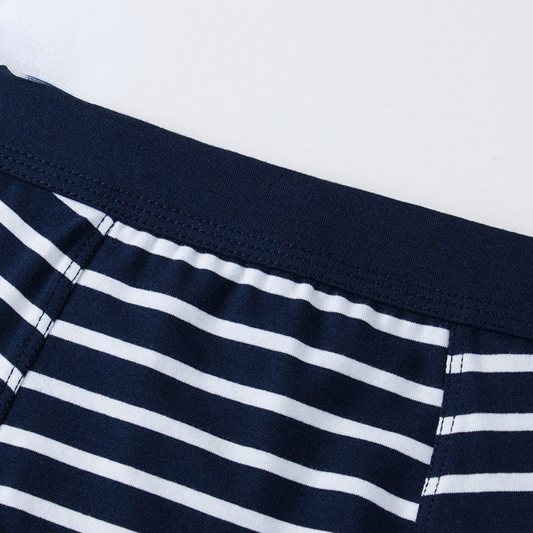 XXXL 165kg 95kg Cotton Men Underwear Sexy Pure Cotton Briefs Adults Stripe Sports